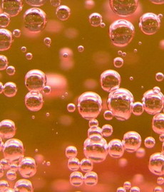 champagne macro photo