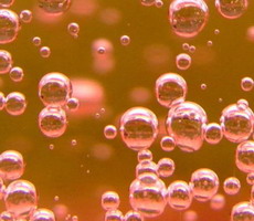 champagne macro photo