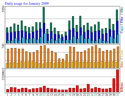Daily usage for January 2009