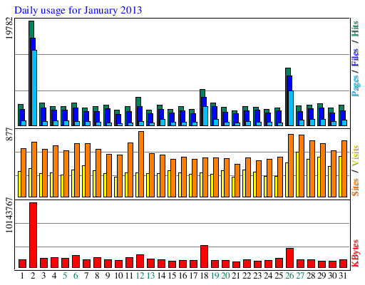 Daily usage for January 2013