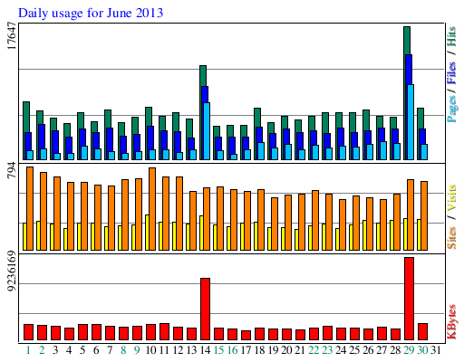 Daily usage for June 2013