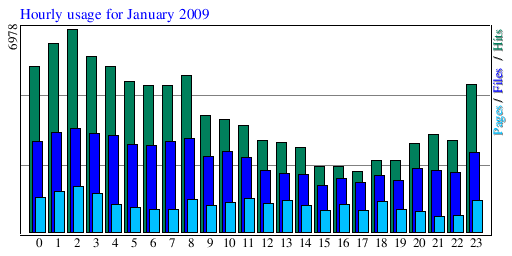 Hourly usage for January 2009