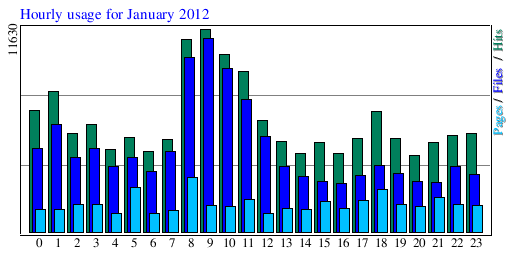 Hourly usage for January 2012