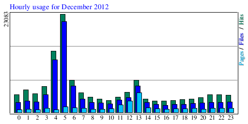 Hourly usage for December 2012