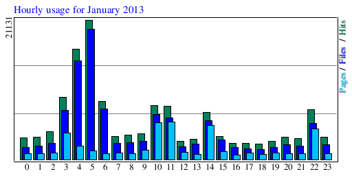 Hourly usage for January 2013