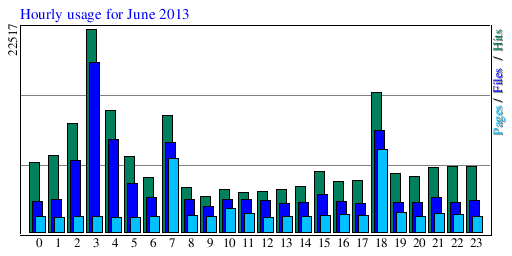 Hourly usage for June 2013