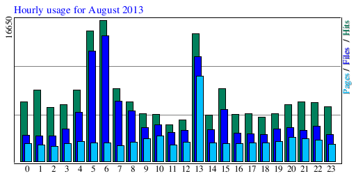 Hourly usage for August 2013