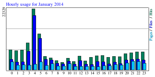 Hourly usage for January 2014